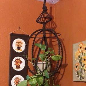 Amazing macrame plant holder!